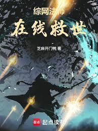 综网法师，在线救世