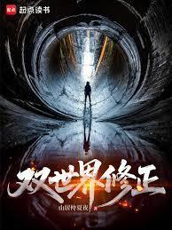 双世界修正