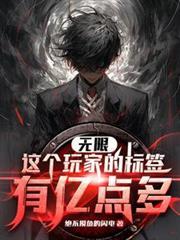 无限：这个玩家的标籤有亿点多