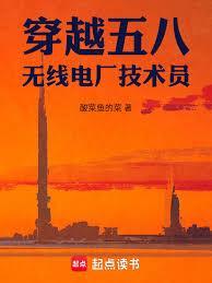 穿越五八，无线电厂技术员