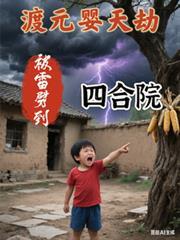 渡元婴天劫被雷劈到四合院