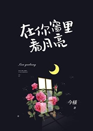 在你窗里看月亮
