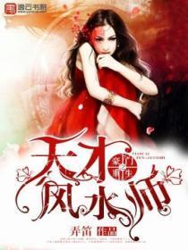 豪门重生之天才风水师