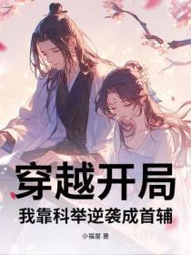 穿越开局：我靠科举逆袭成首辅