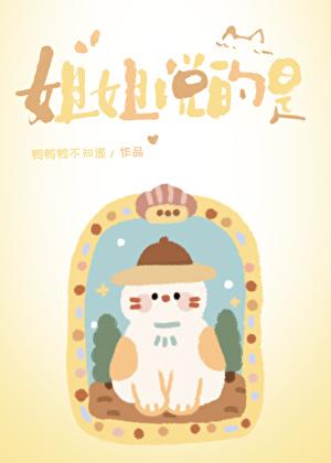 姐姐说的是