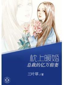 枕上暖婚：总裁的亿万前妻