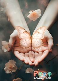 《遇见你，在旅途中》