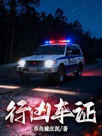 行凶车证