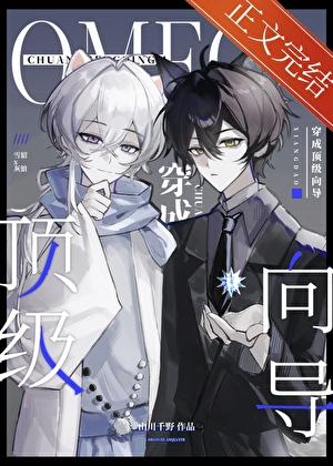 宇宙级珍稀向导