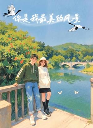 鹤有归，风有你