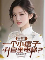 官途：一个小痞子，升官坐电梯