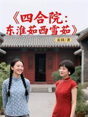 四合院：东淮茹西雪茹