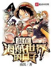 在海贼世界的日子