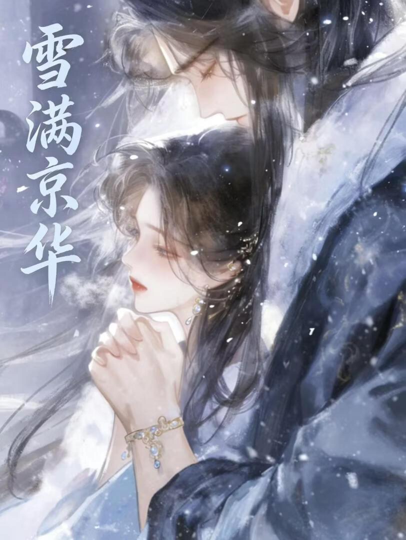 雪满京华