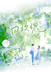 白玫瑰