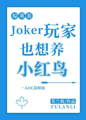 Joker玩家也想养小红鸟[综英美]