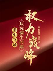 重生官场：从选调生问鼎权力巅峰