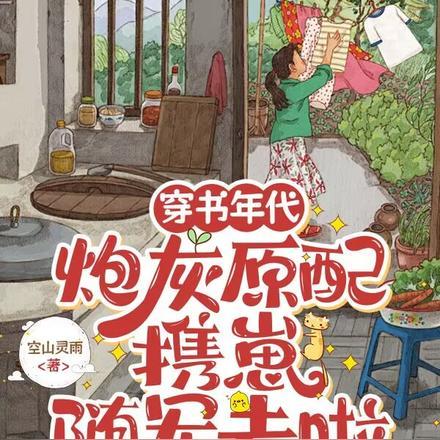 穿书年代，炮灰原配携崽随军去啦