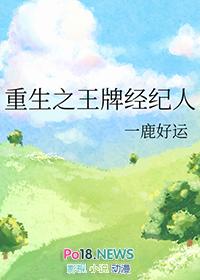 重生之王牌经纪人