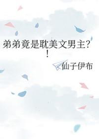 弟弟竟是耽美文男主