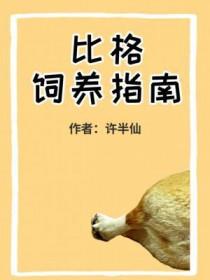 比格饲养指南