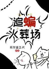 [综英美] 追蝙火葬场