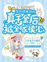 龙宝苏雅琴