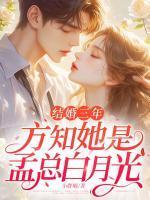 沈蕴孟时晏