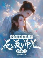 沈婉无尘