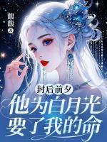 苏云昭司辰昱