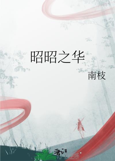 昭昭之华