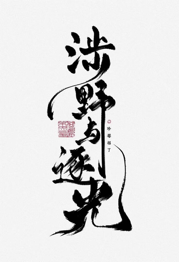 涉野与逐光