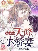 顾少的天降小娇妻