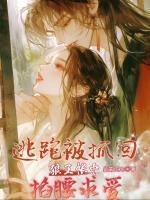 姜昭宁阿那瑰