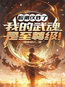 检测仪炸了：我的武魂是至尊级！