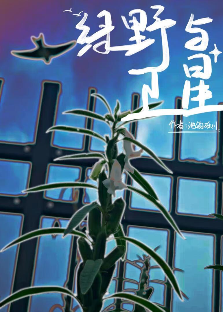 绿野与卫星（GB）