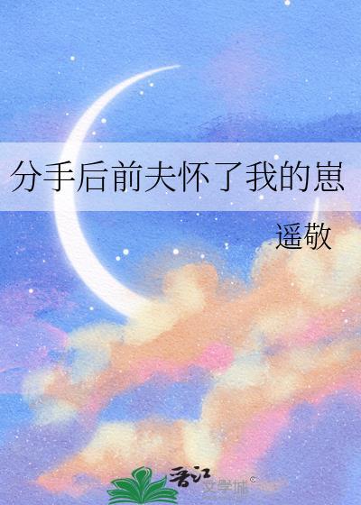 分手后前夫怀了我的崽