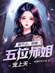 小司机的美女总裁老婆