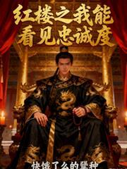 红楼之我能看见忠诚度