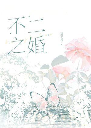 不二之婚