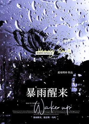 暴雨醒来
