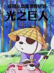 综网：从血魔德鲁伊到光之巨人