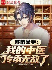 都市圣手：我的中医传承无敌了