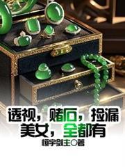 透视，赌石，捡漏，美女，全都有