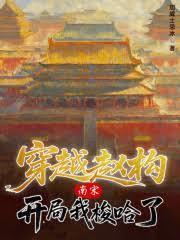 南宋：穿越赵构，开局我梭哈了