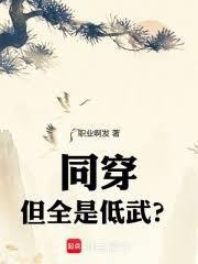 同穿，但全是低武？