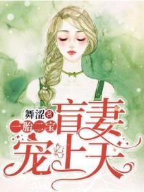一胎二宝：盲妻宠上天