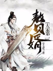大宋第一赘婿