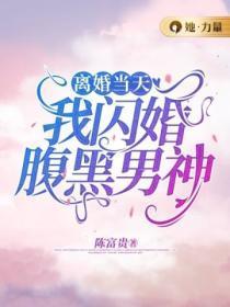 离婚当天，我闪婚腹黑男神