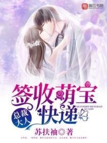 总裁大人，签收萌宝快递